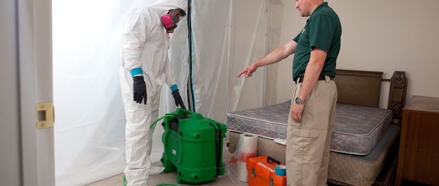 Englewood, FL mold removal process